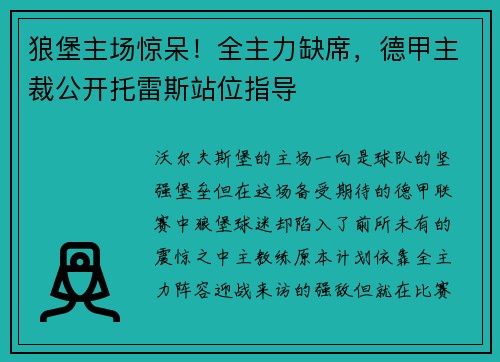 狼堡主场惊呆！全主力缺席，德甲主裁公开托雷斯站位指导